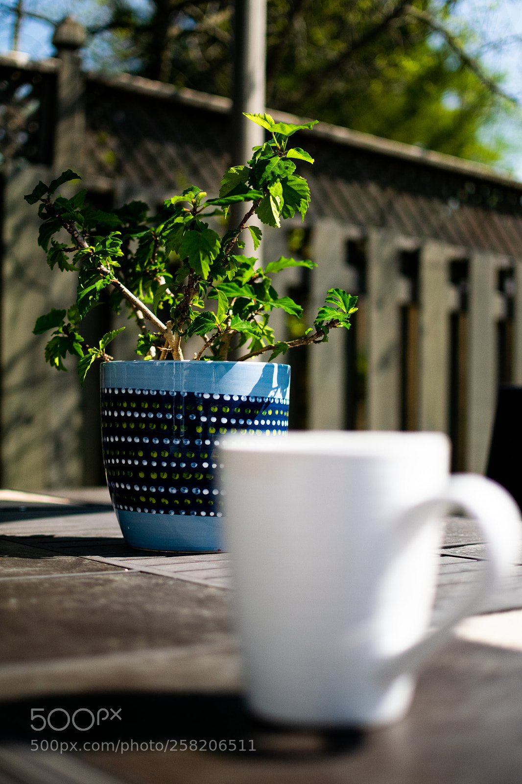 Nikon D5300 sample photo. Untitled photography