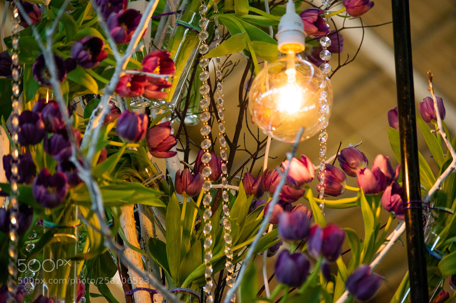 Nikon D5300 sample photo. Untitled photography