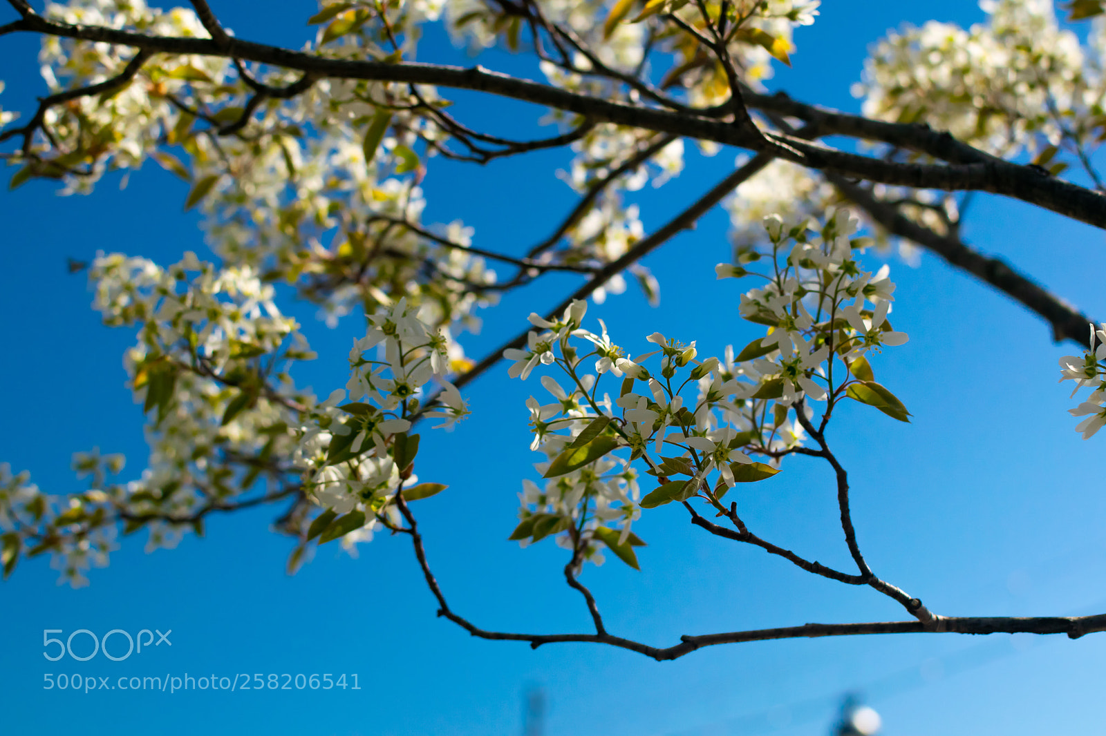 Nikon D5300 sample photo. Untitled photography