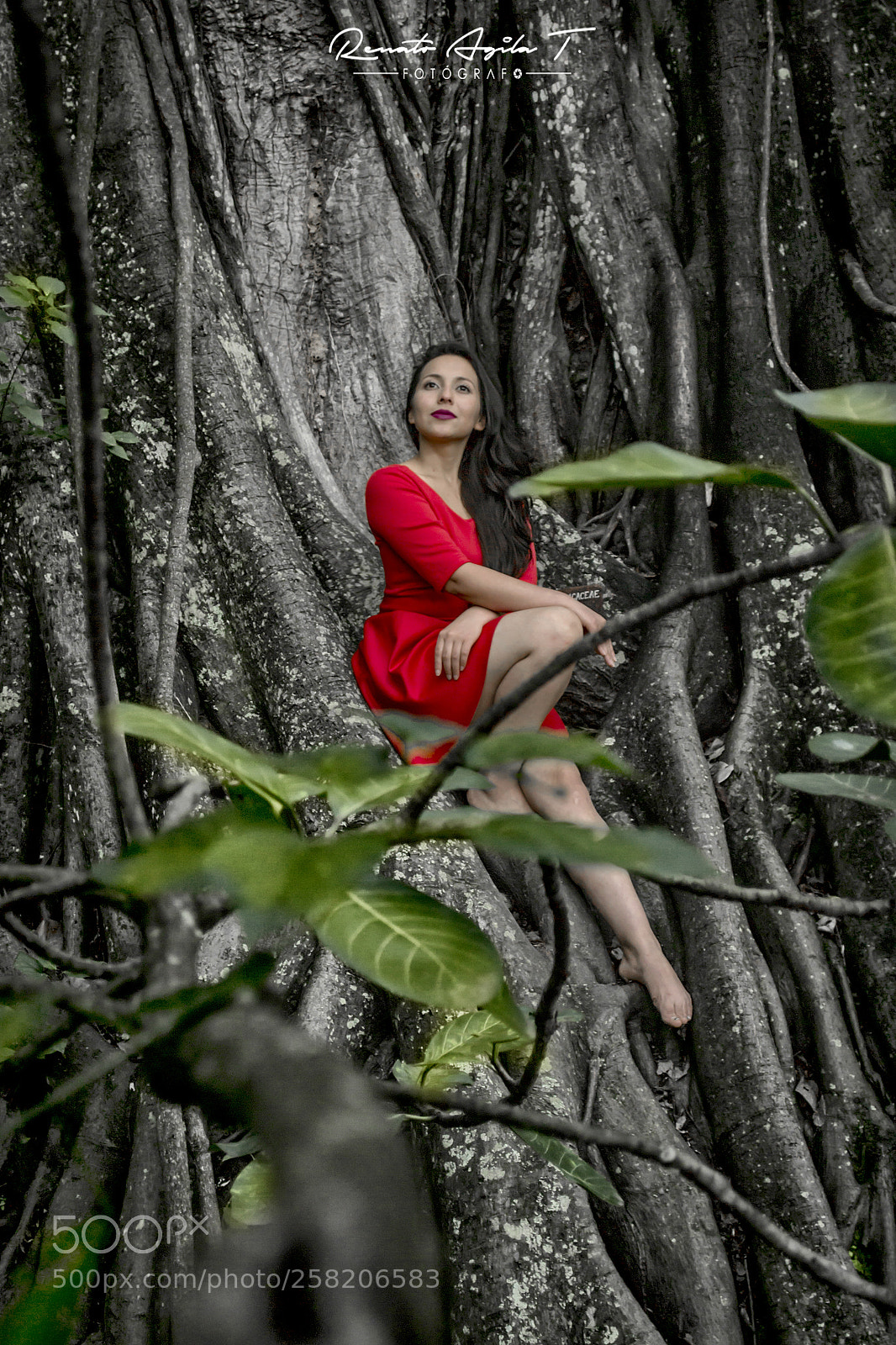 Nikon D3100 sample photo. Rojo photography