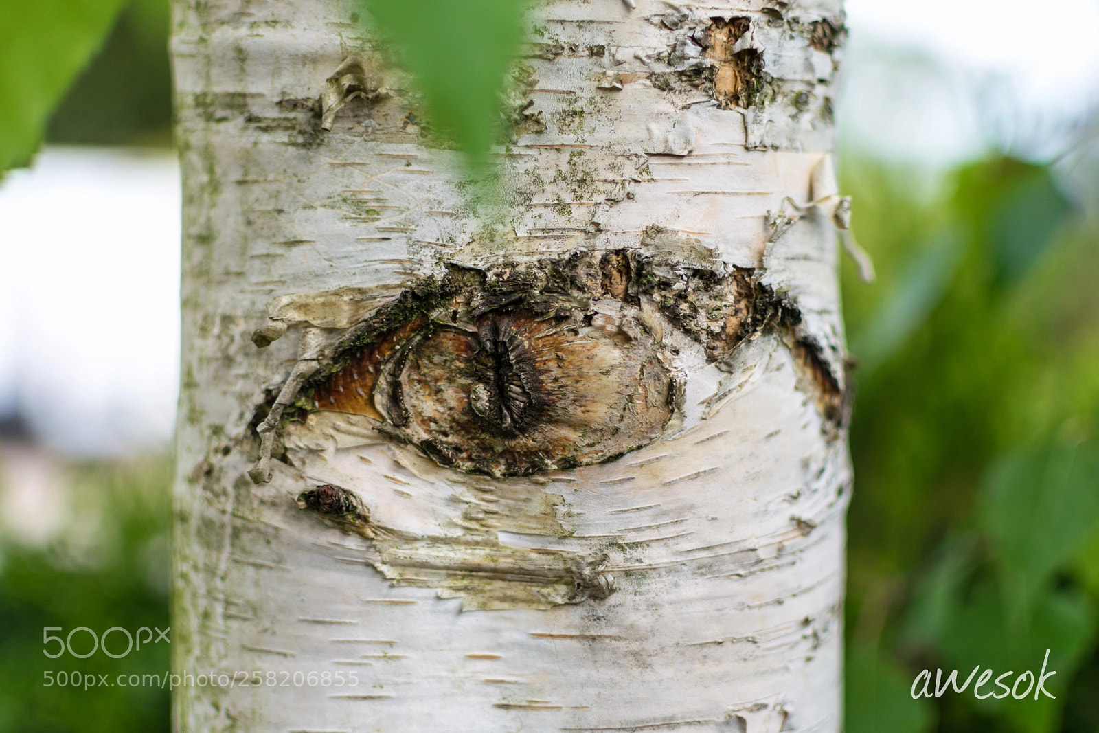 Nikon D3300 sample photo. I see you photography