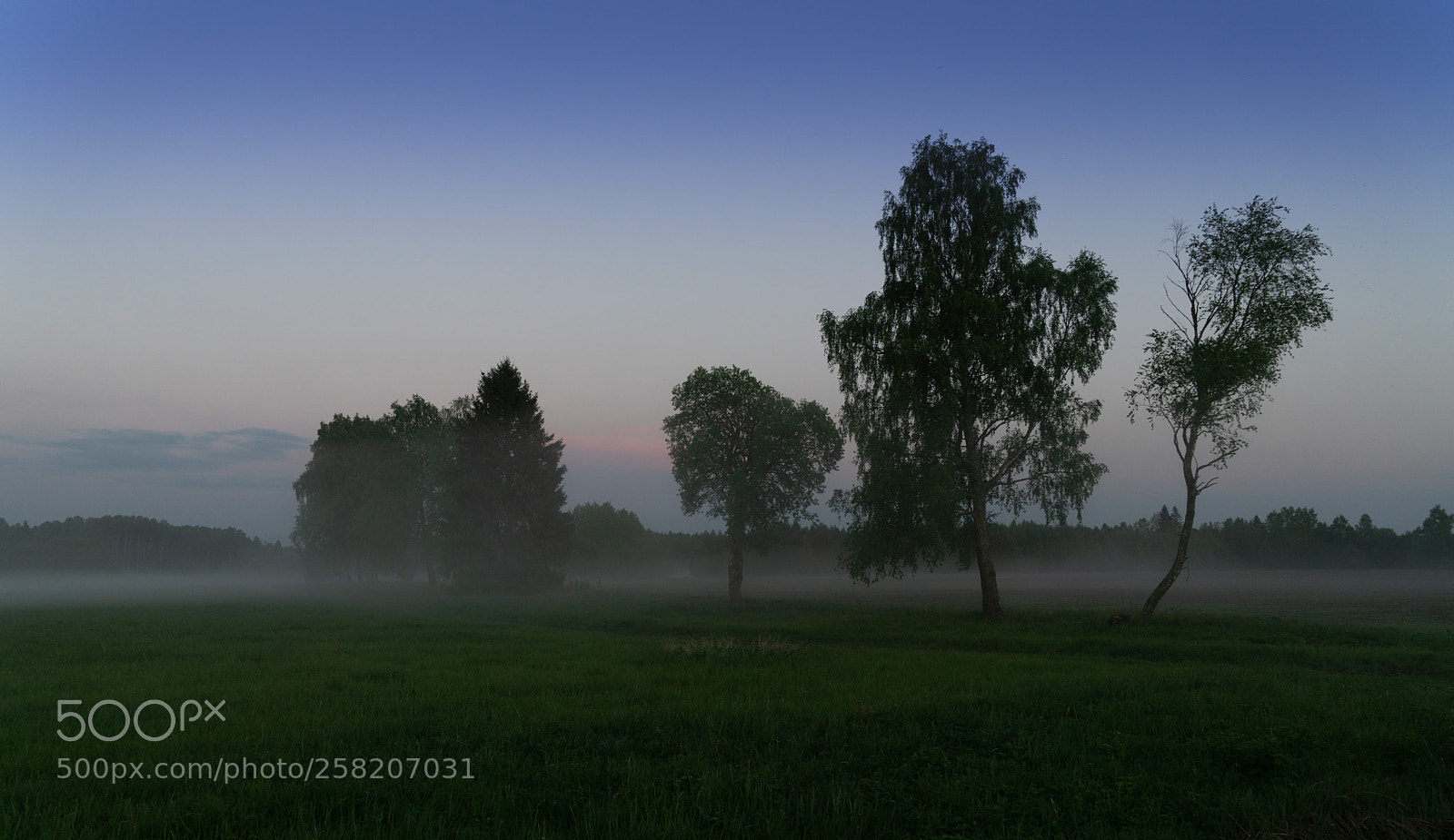 Sony a7R II sample photo. Dsc photography