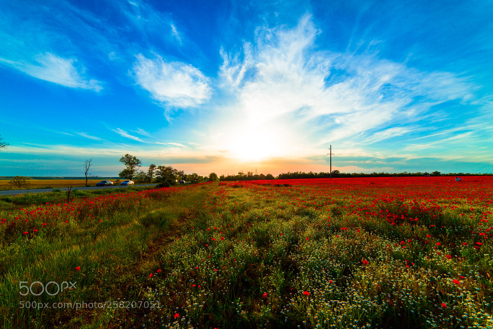 Nikon D800 sample photo. *** photography