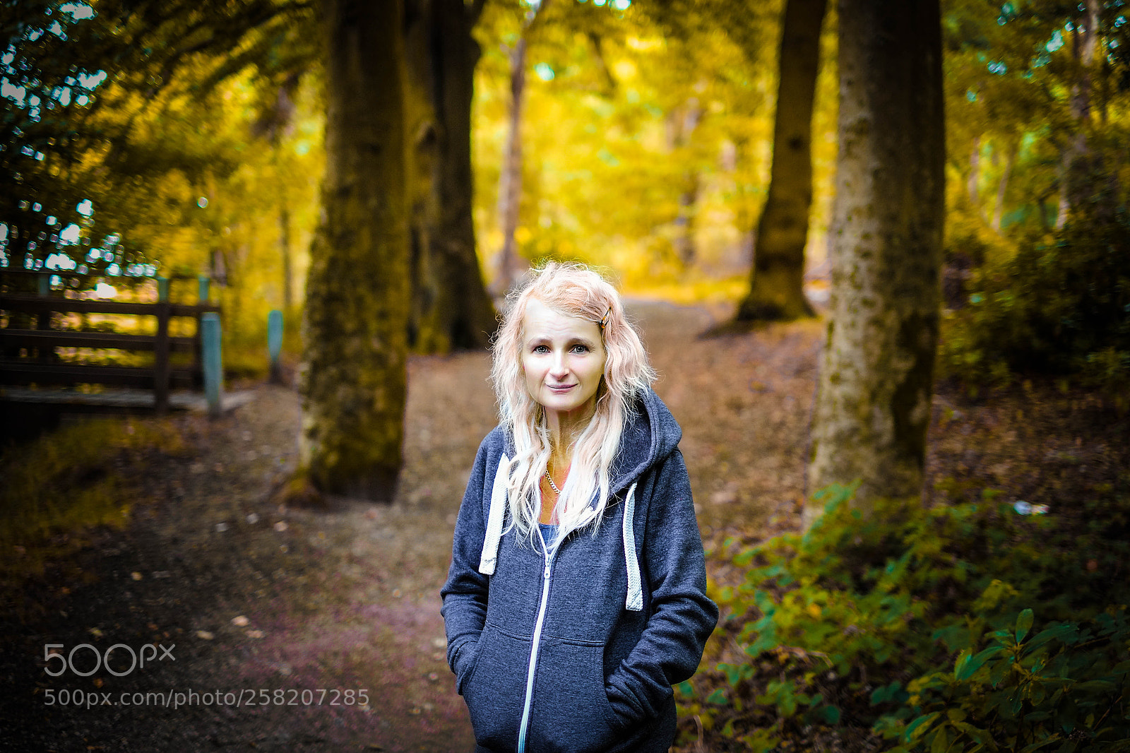 Fujifilm X-Pro1 sample photo. Woodland photography