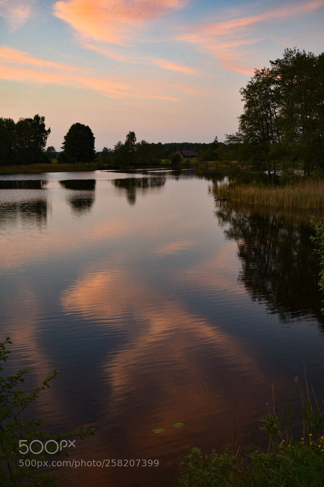 Nikon D5600 sample photo. It  burns photography
