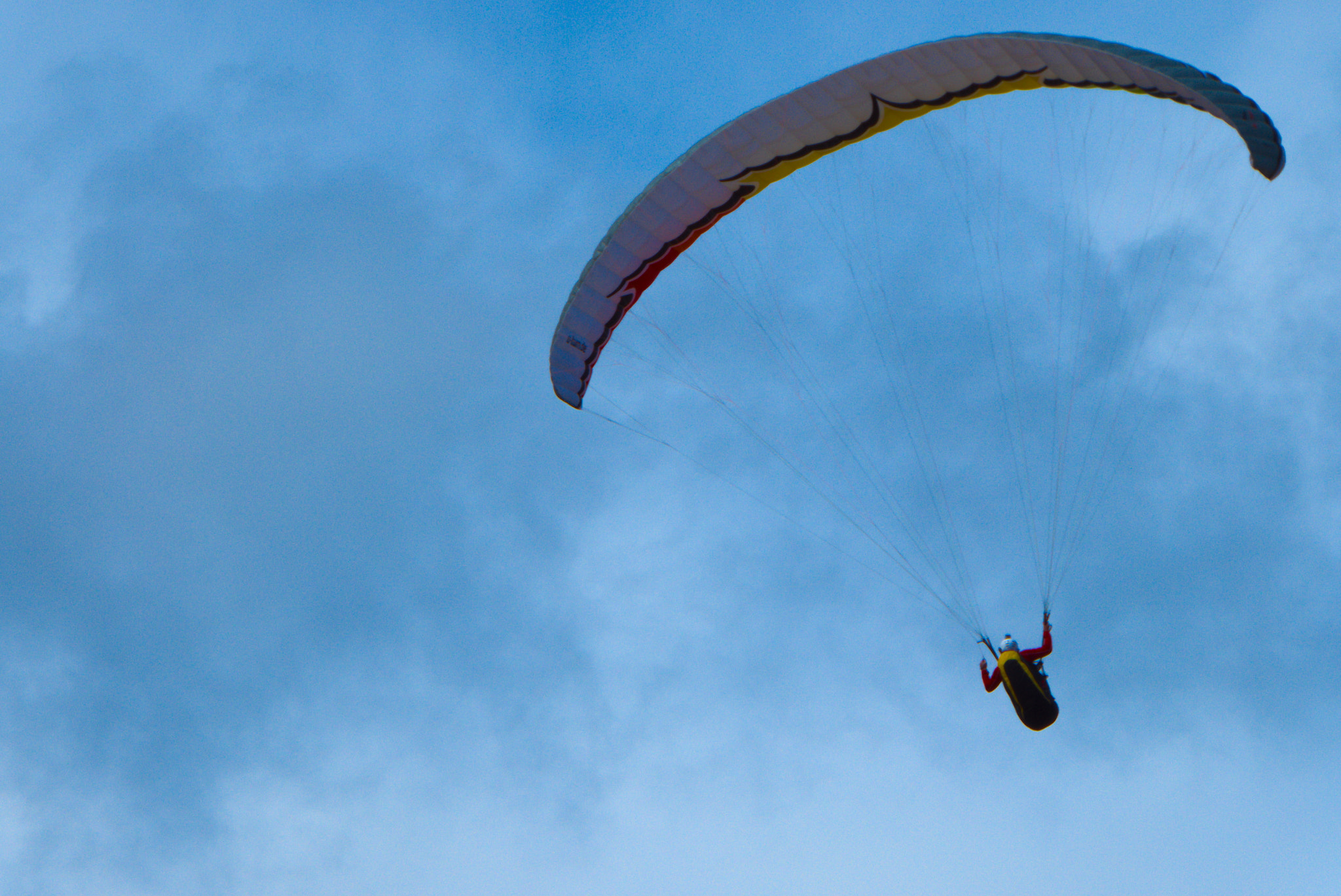 Panasonic Lumix DMC-ZS50 (Lumix DMC-TZ70) sample photo. Flying high photography
