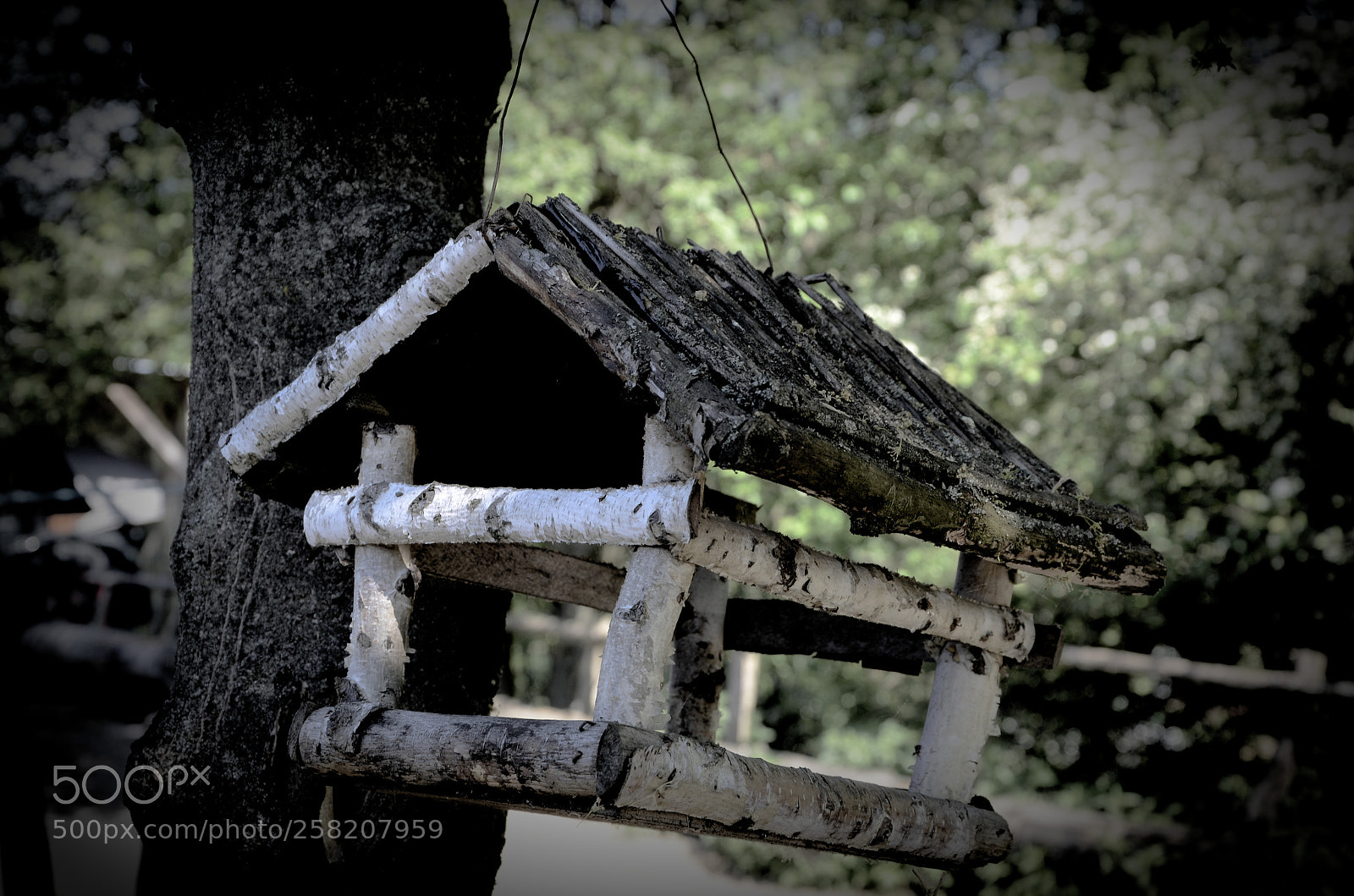 Nikon D7000 sample photo. Birdhouse photography