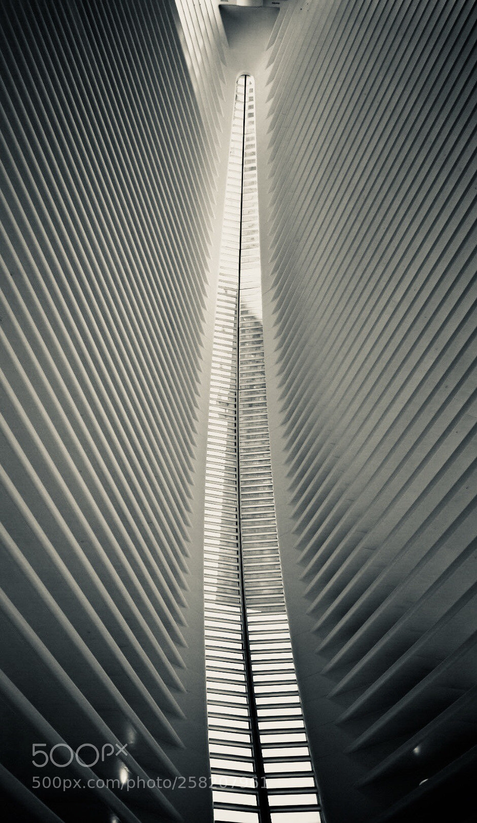 Nikon D5300 sample photo. Nyc - one world photography
