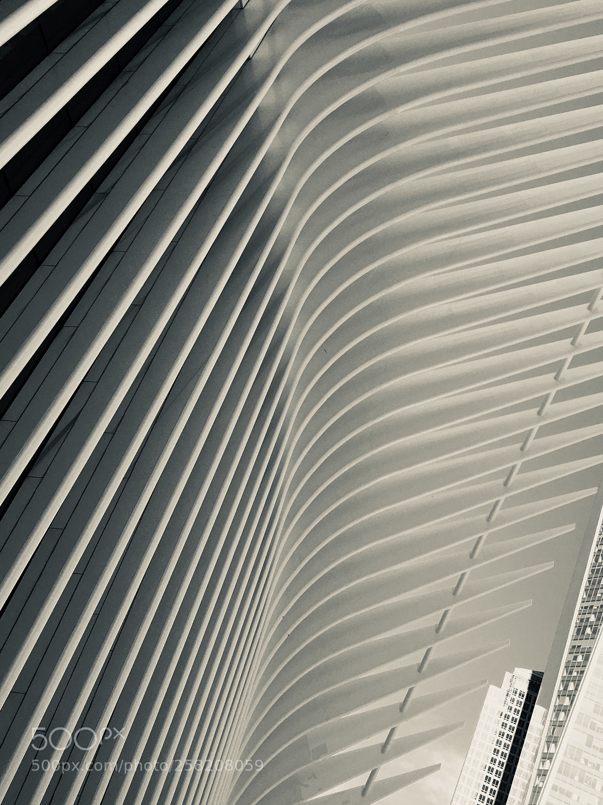 Apple iPhone 6s sample photo. Nyc - wave architecture  photography