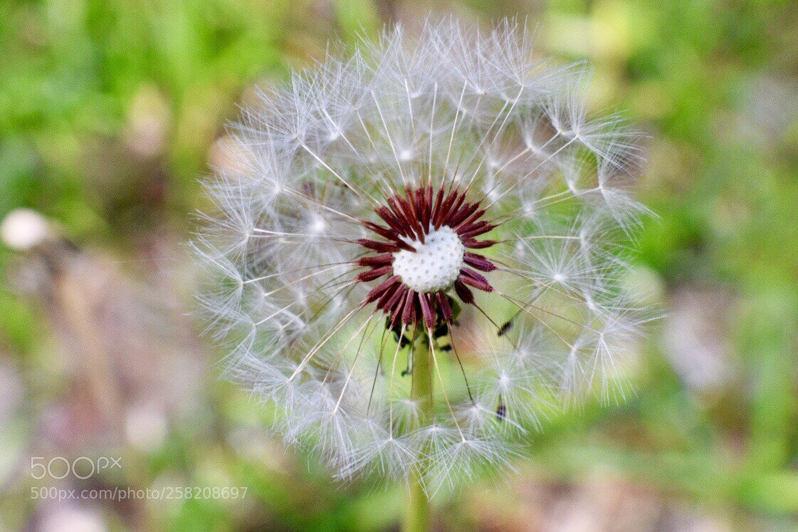 Nikon D3400 sample photo. Untitled photography