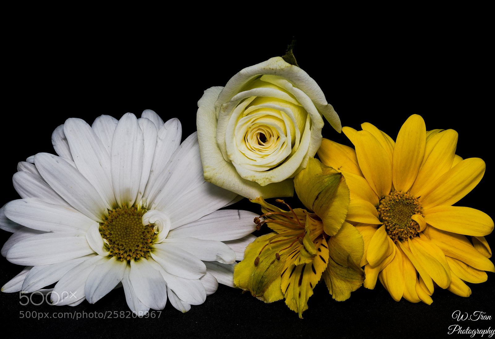 Sony a7R III sample photo. Flowers photography