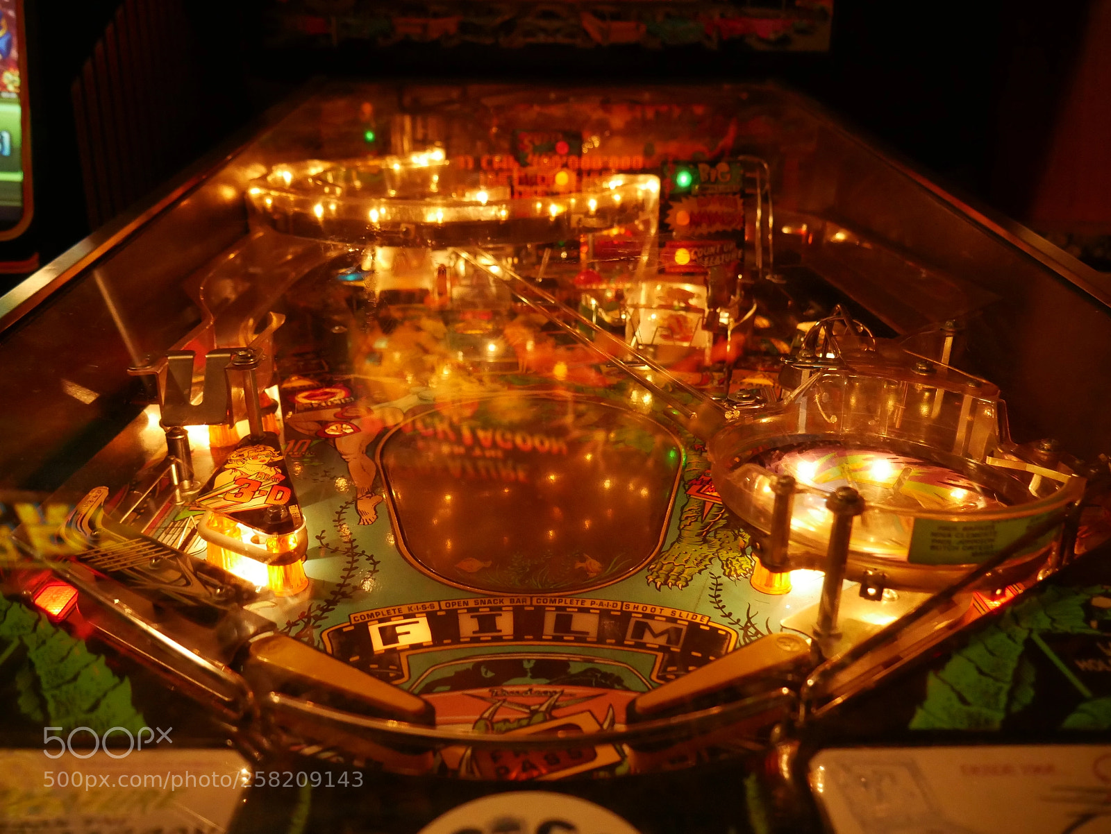 Panasonic Lumix DMC-G7 sample photo. Shiny gamble photography