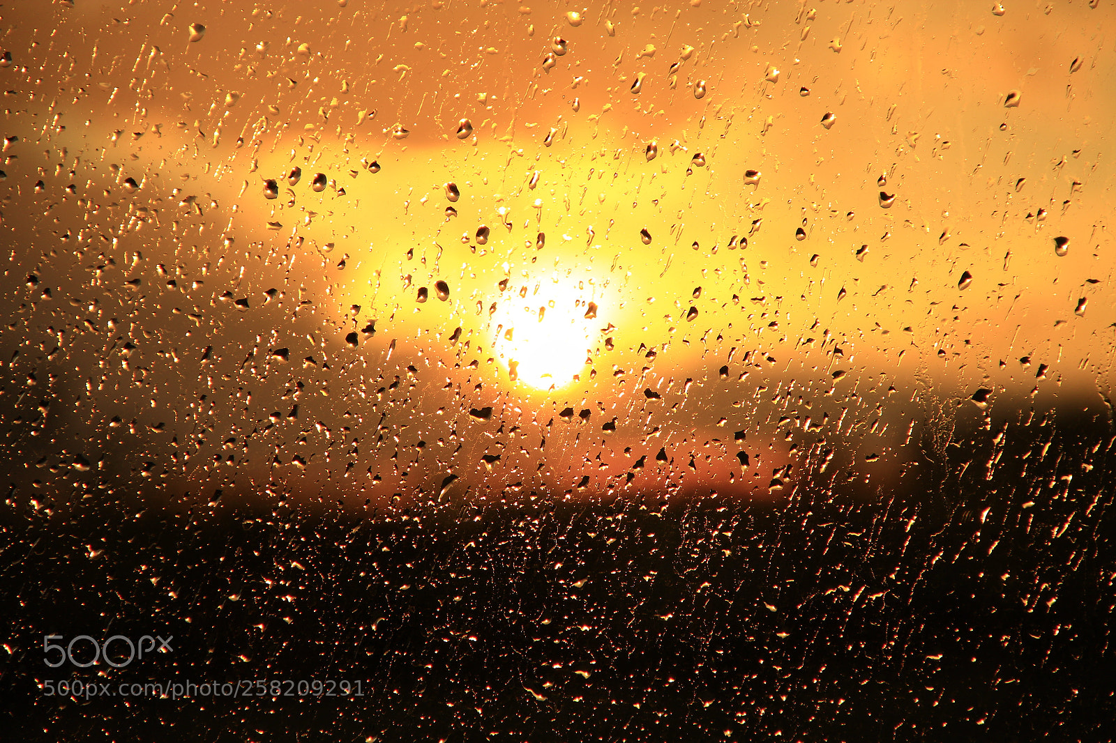 Canon EOS 600D (Rebel EOS T3i / EOS Kiss X5) sample photo. Rain outside window on photography