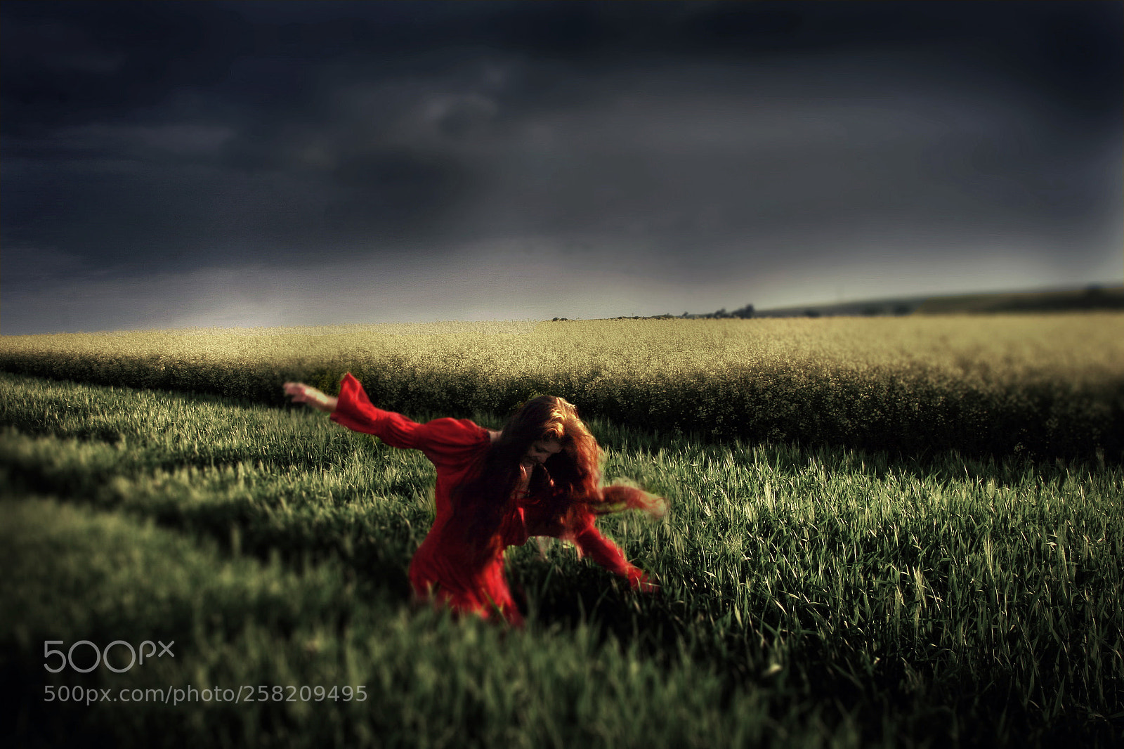 Canon EOS 30D sample photo. Wuthering heights photography