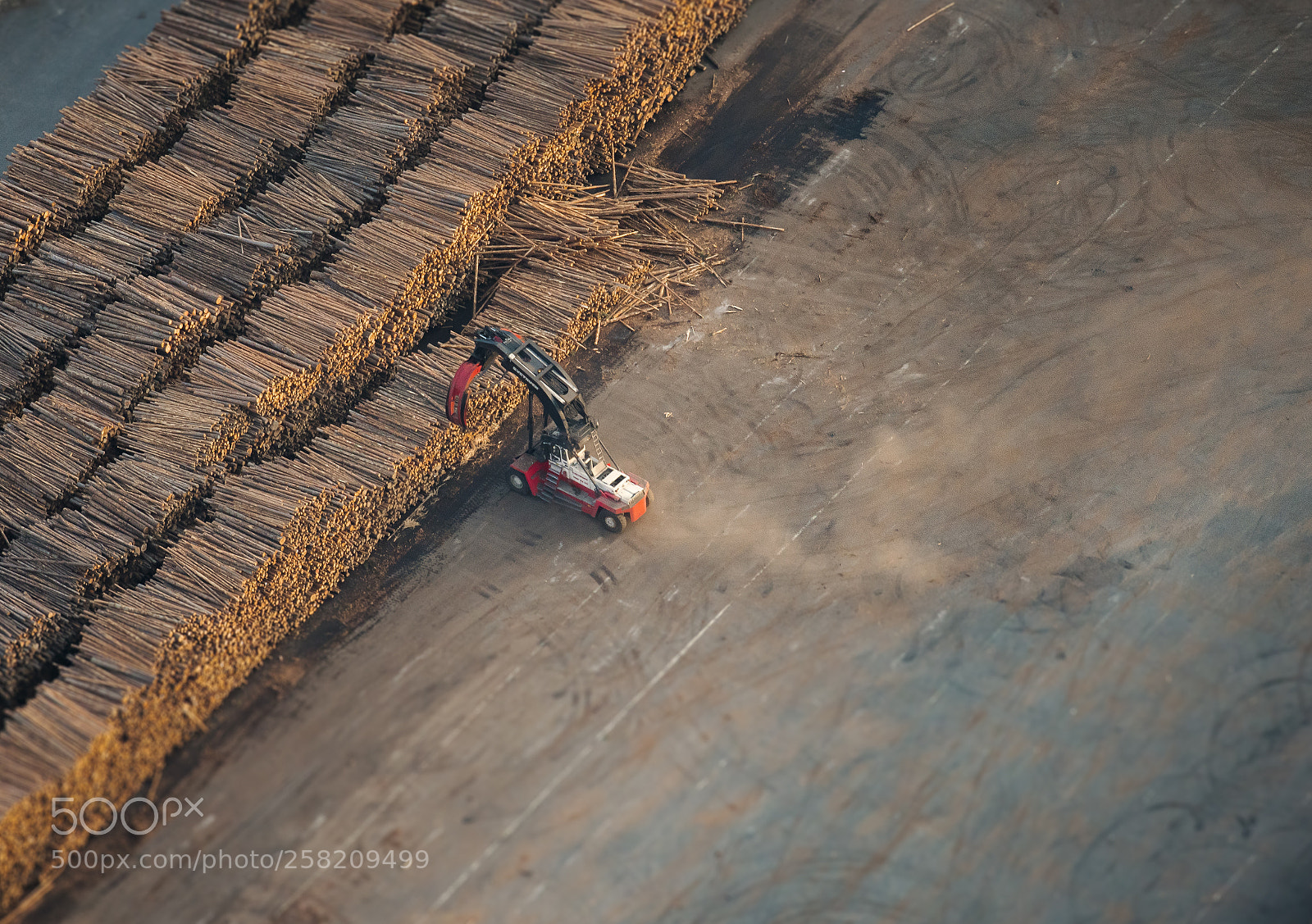 Sony a7R II sample photo. Sticks photography