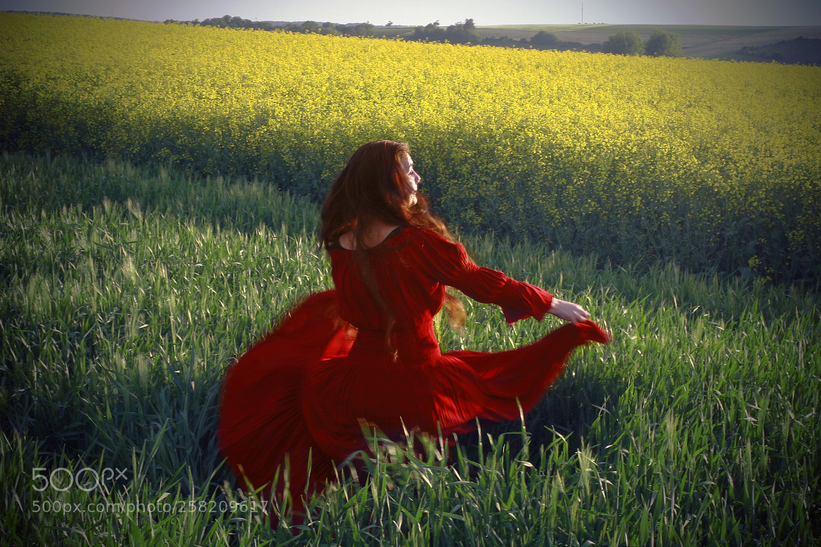Canon EOS 30D sample photo. Spring photography