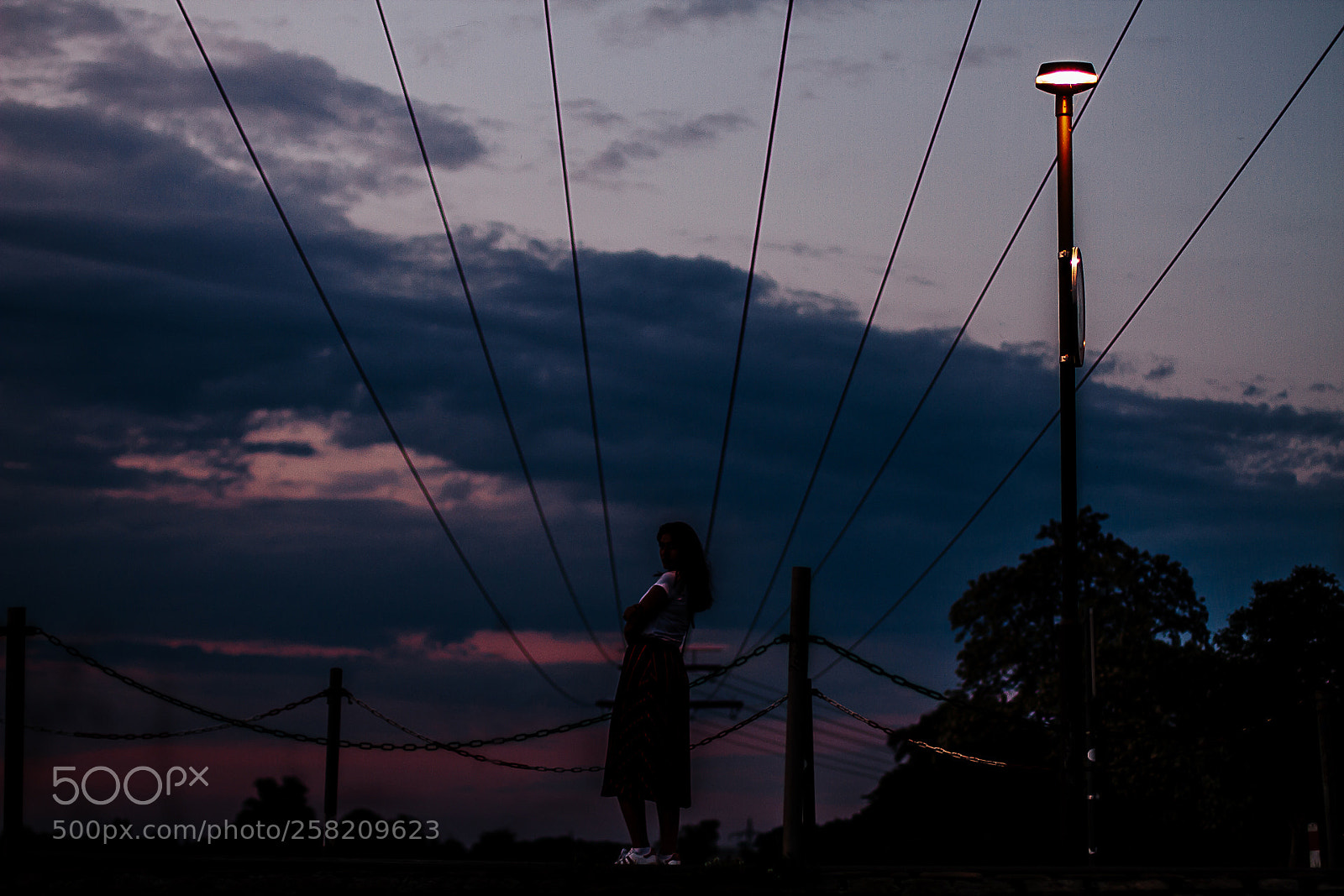 Canon EOS 7D sample photo. Cosmos photography