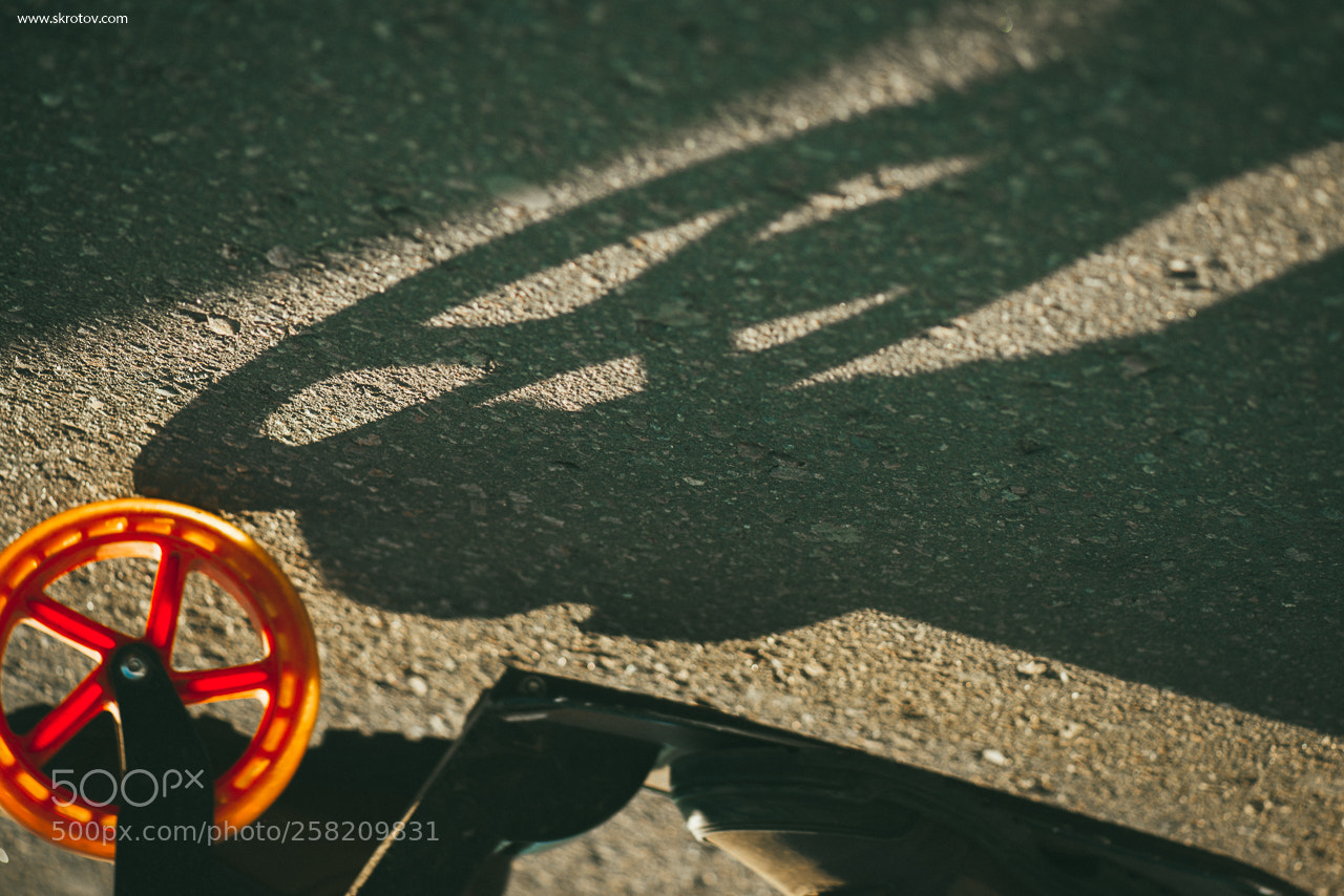 Nikon D800 sample photo. Mm mm f photography