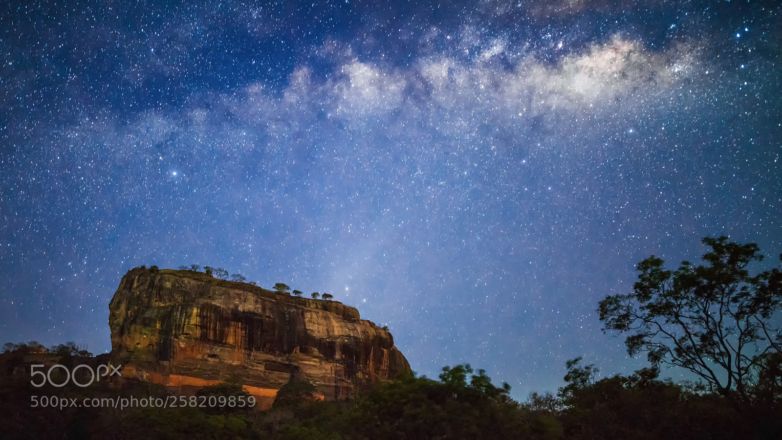 Nikon D810 sample photo. Lion rock under milky photography