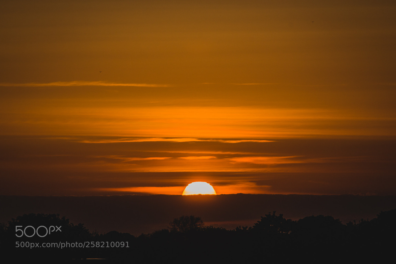 Canon EOS 6D sample photo. Setting sun photography