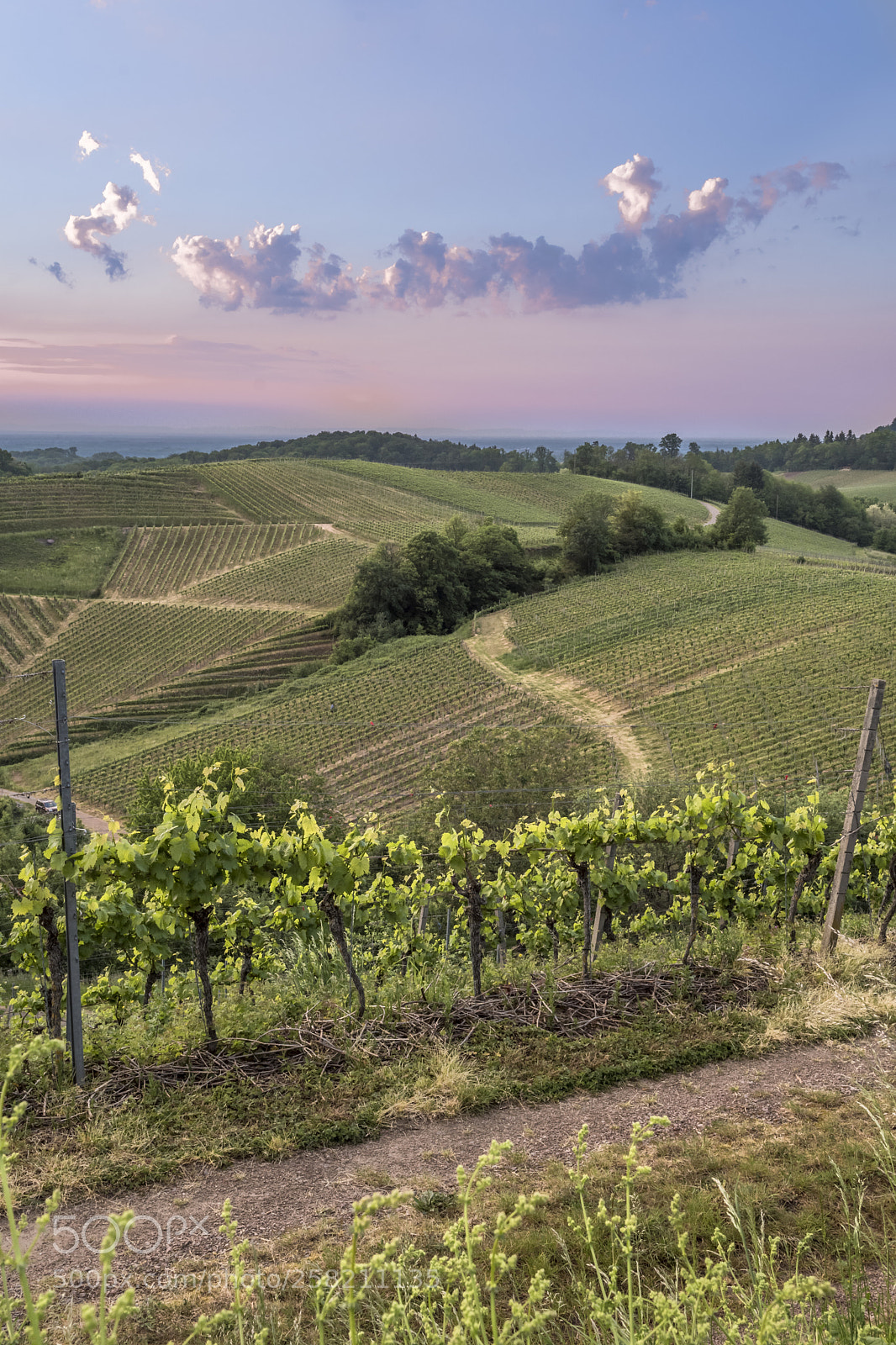 Nikon D500 sample photo. Blick in die rheinebene photography