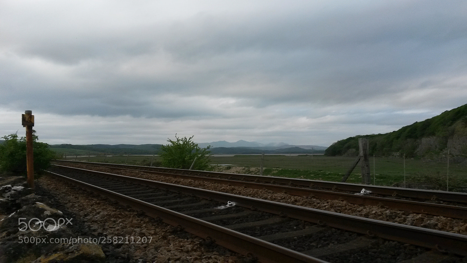 Samsung Galaxy S4 Mini sample photo. Untitled photography