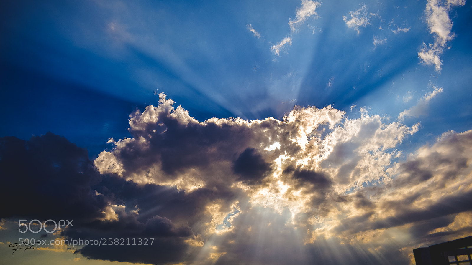 Nikon D5600 sample photo. Sun rays photography