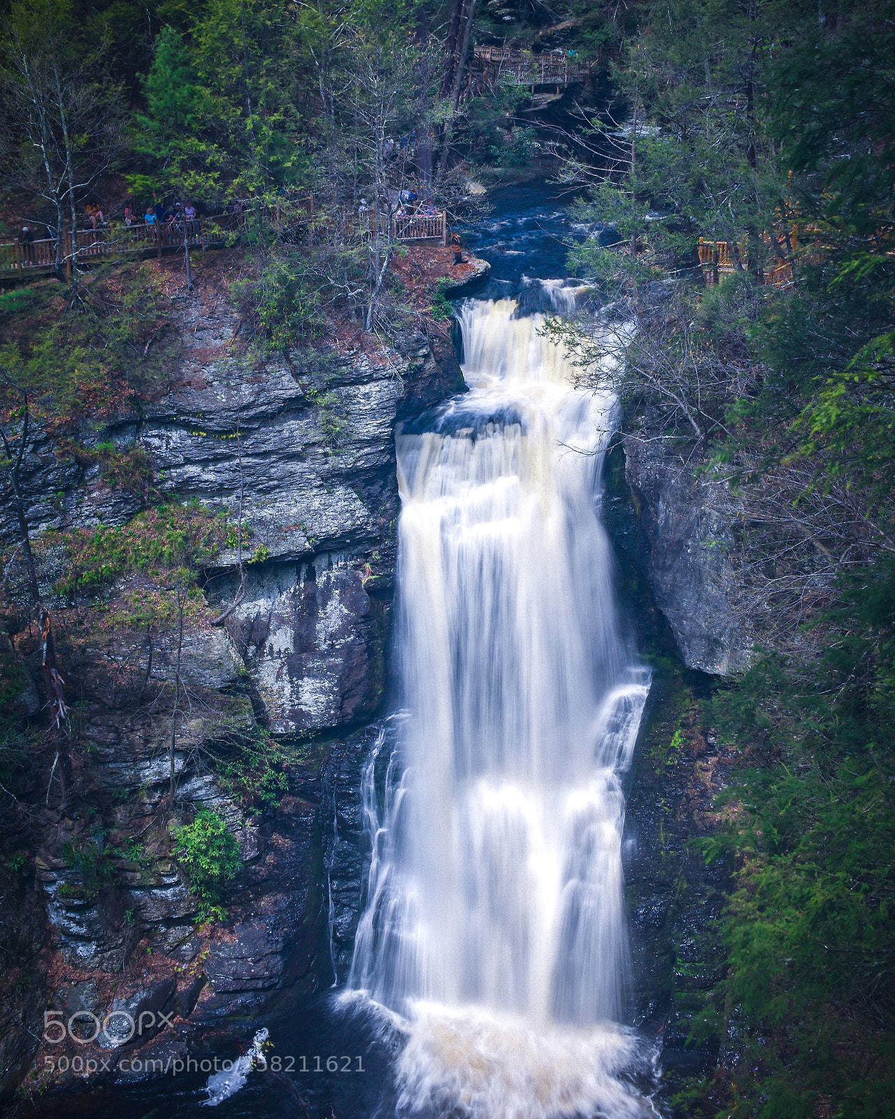 Nikon D3400 sample photo. Bushkill falls photography