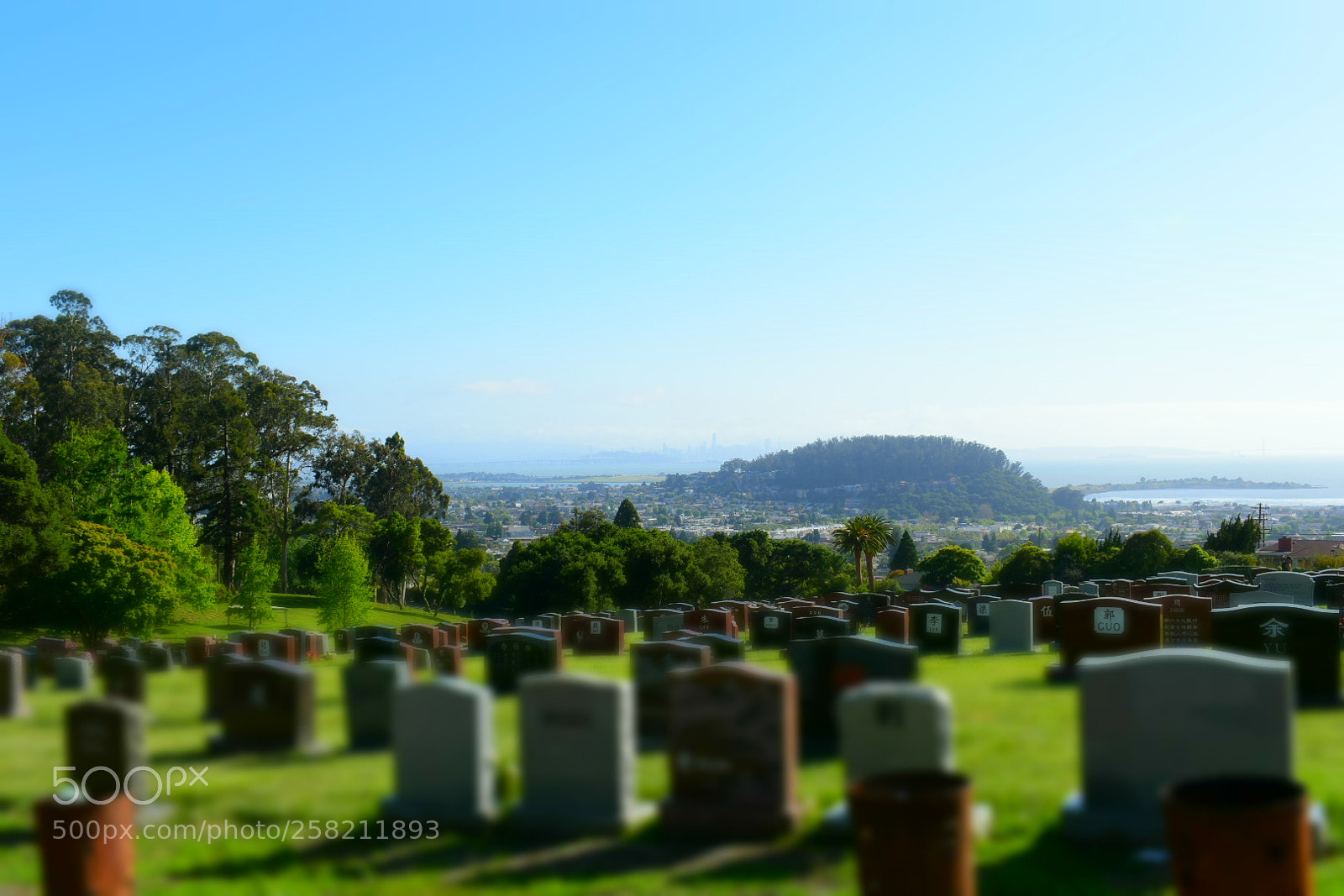 Nikon D3400 sample photo. The last view photography