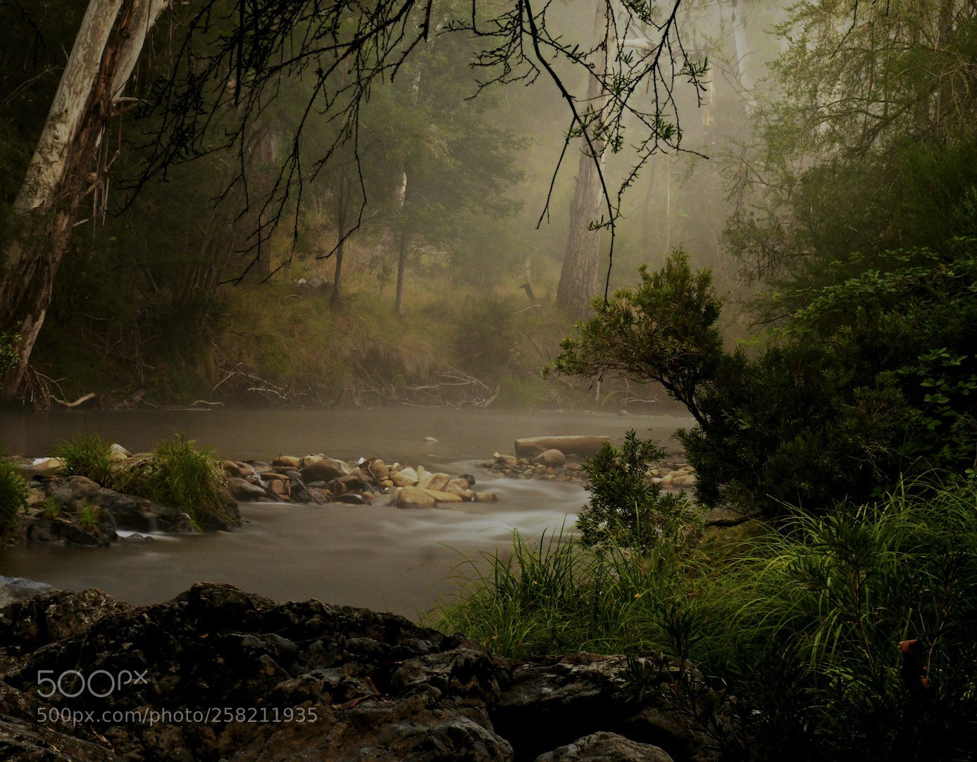 Panasonic Lumix DMC-GH3 sample photo. Mist in the morning photography