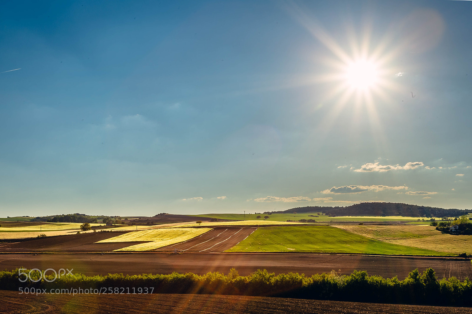 Canon EOS 6D sample photo. Sol de zamora photography