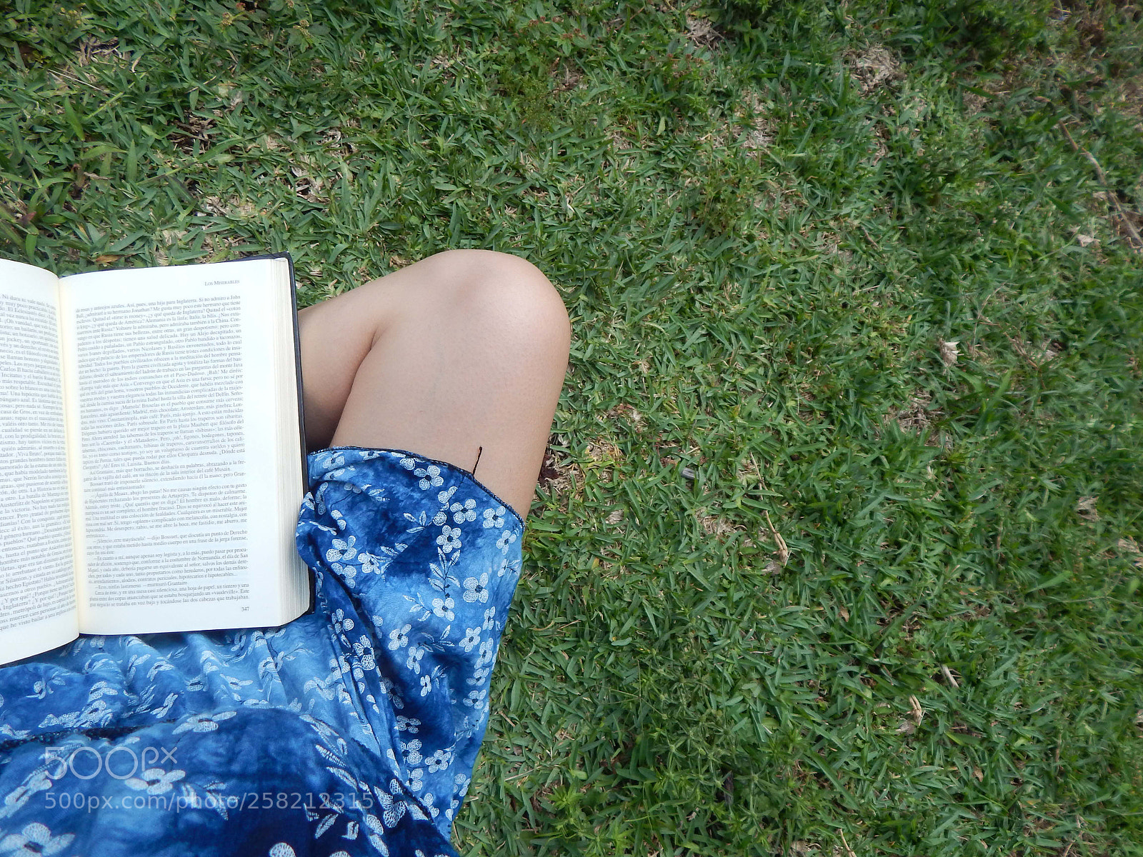 Nikon Coolpix L830 sample photo. Books are paradise photography