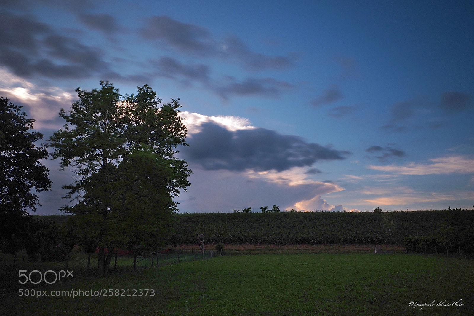 Olympus OM-D E-M5 II sample photo. Tramonto in campagna photography
