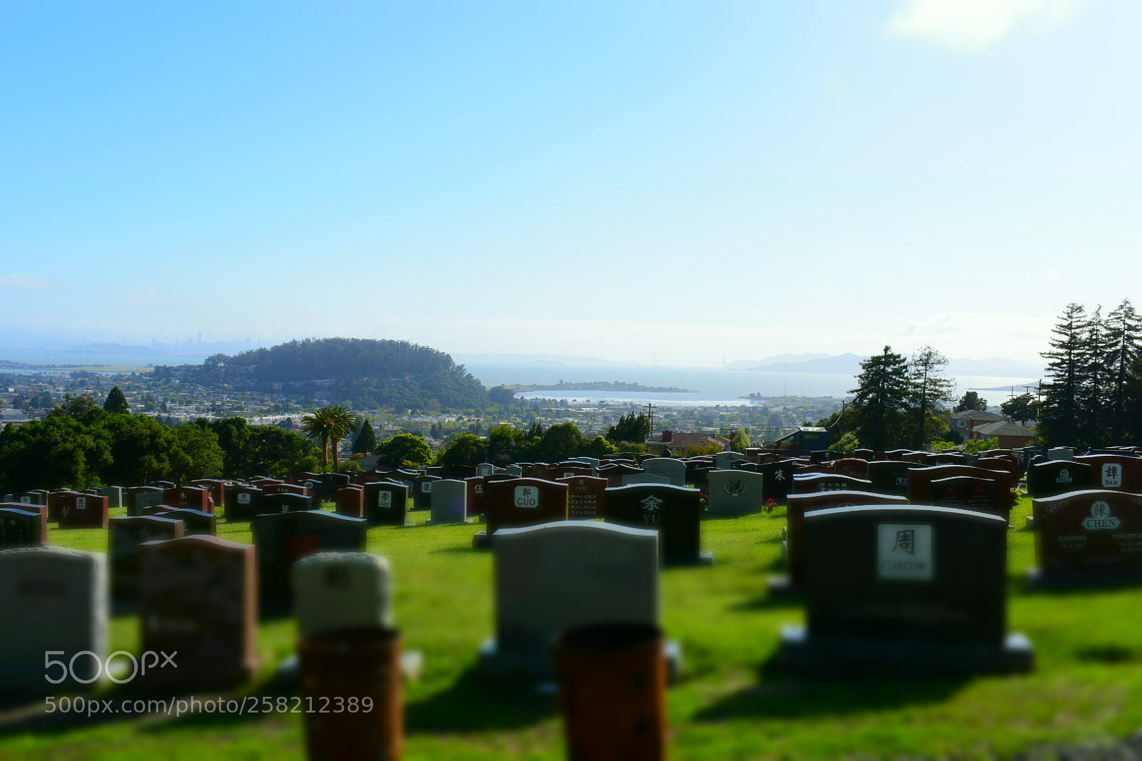 Nikon D3400 sample photo. The last view ii photography