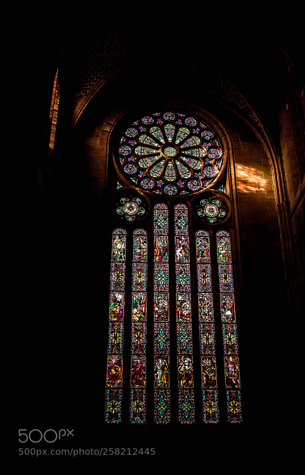 Canon EOS 7D Mark II sample photo. Vitrail rudipontain photography