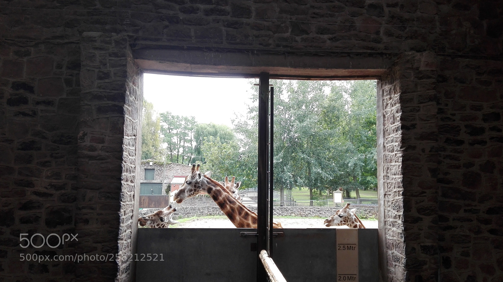 HUAWEI P8 Lite sample photo. Untitled photography