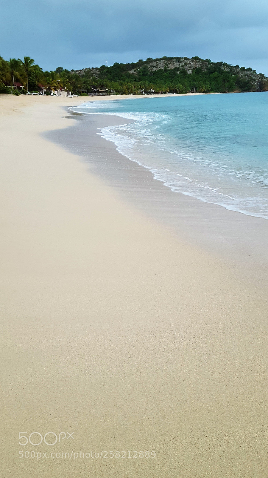 Samsung GALAXY S6 edge sample photo. Timeless photography