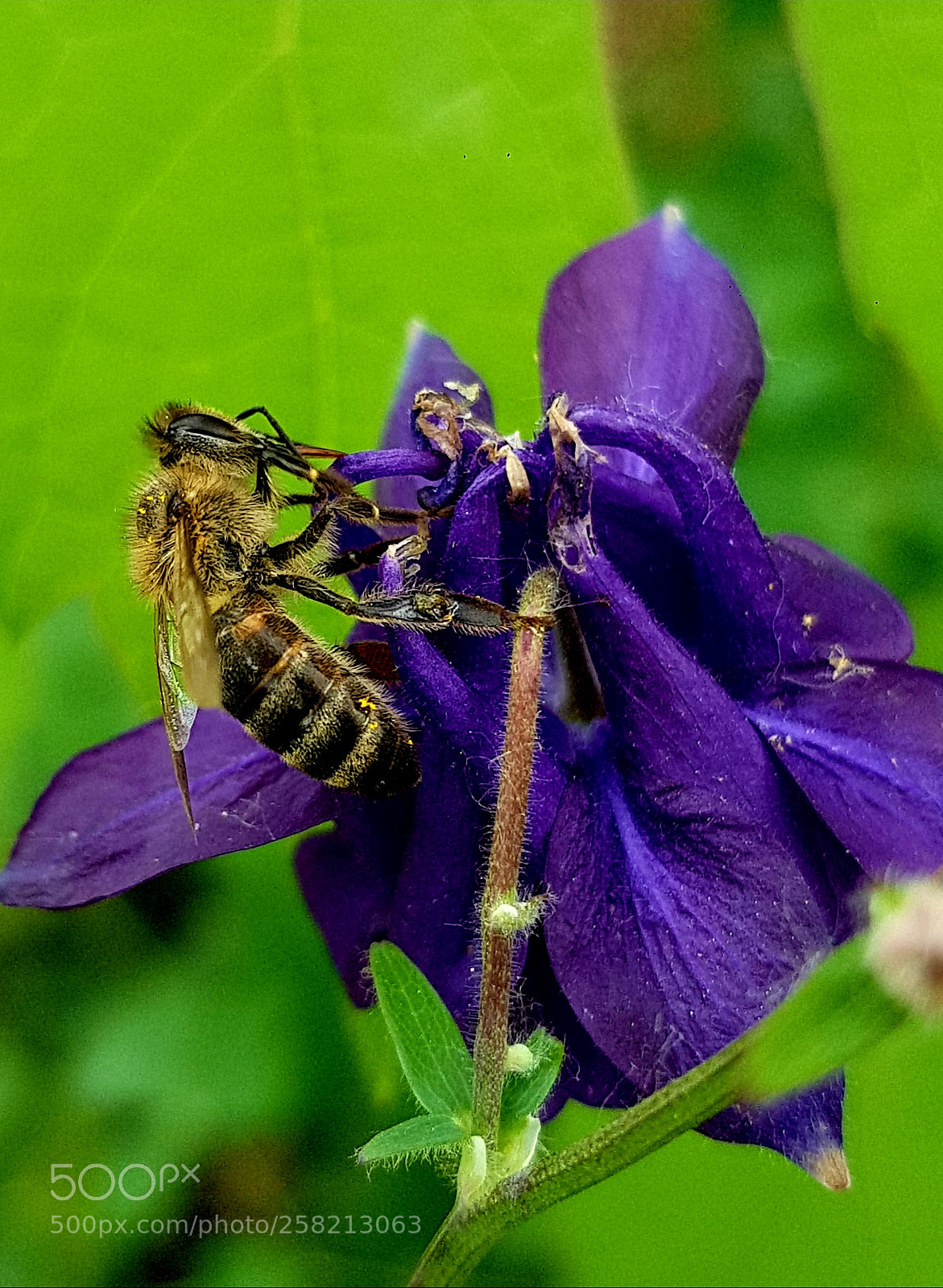 Samsung Galaxy S8 sample photo. Untitled photography