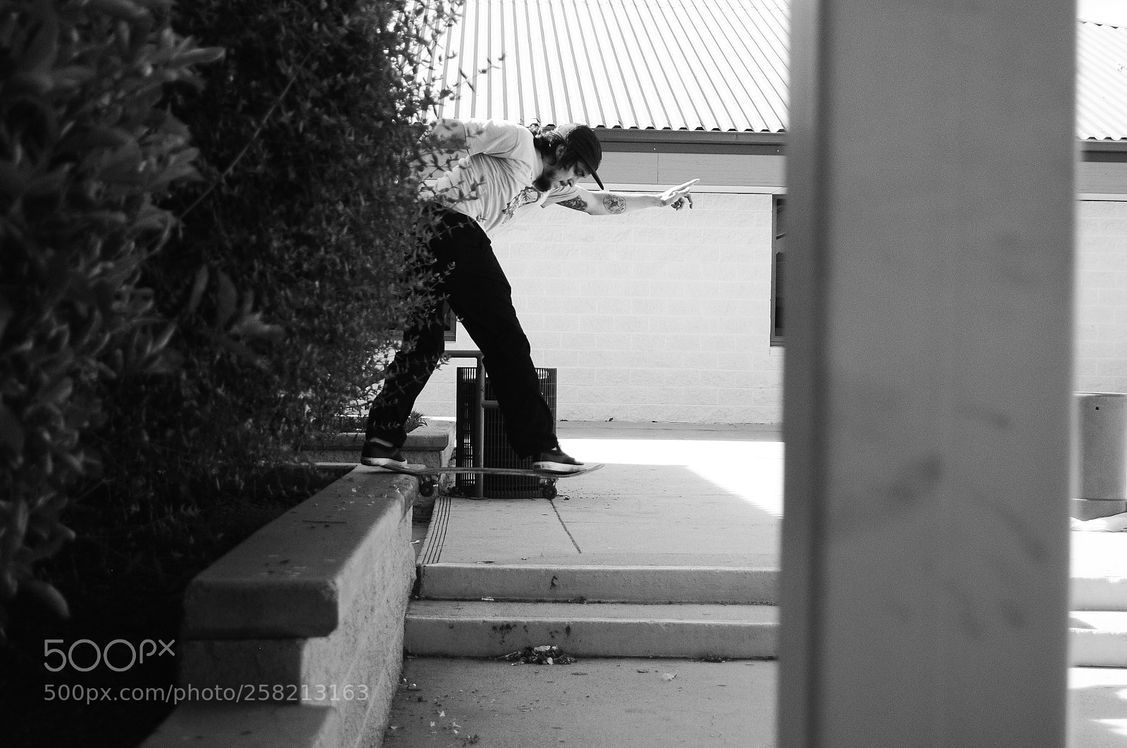 Nikon D300 sample photo. Bs tail photography