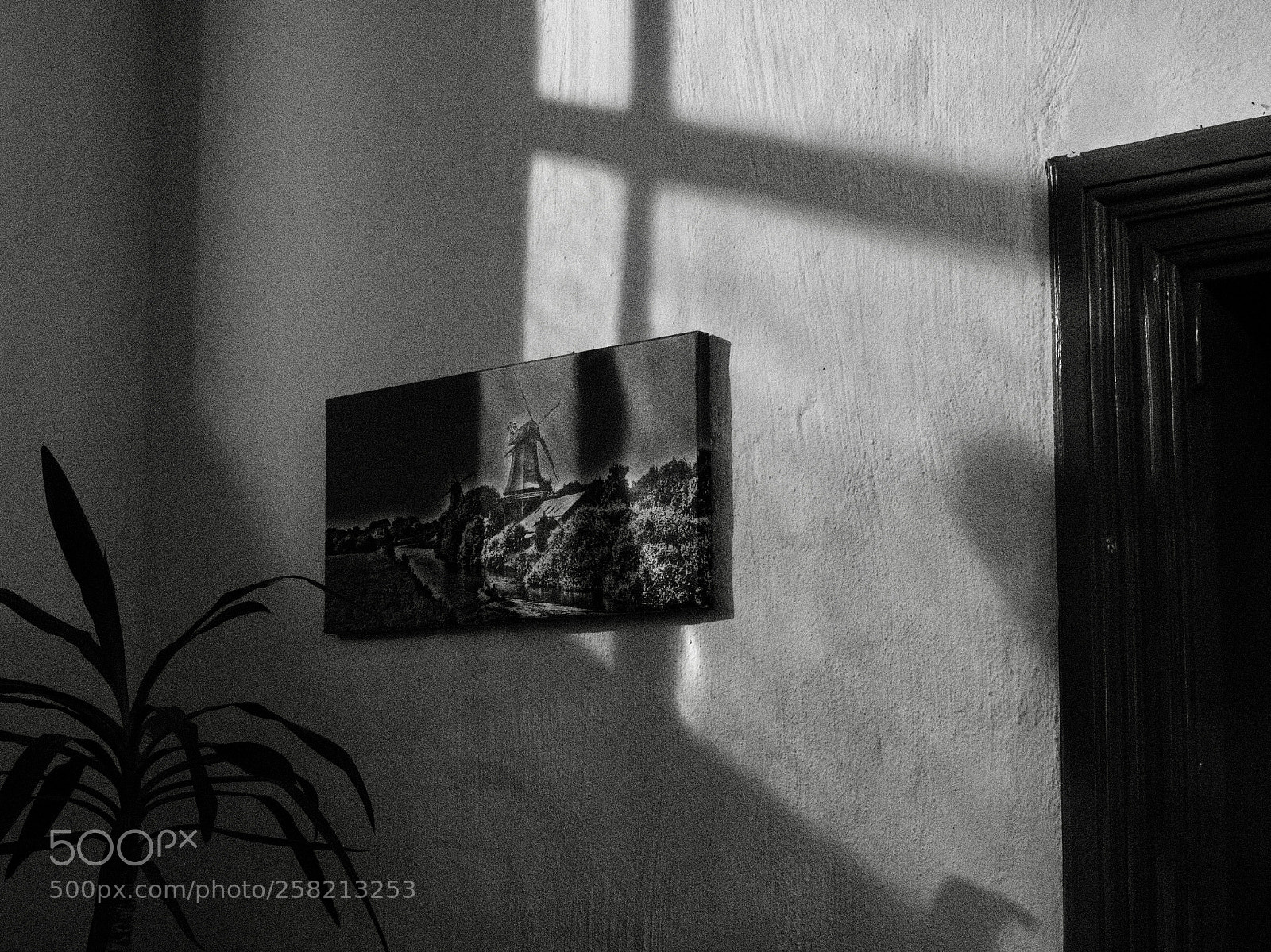Fujifilm X-T2 sample photo. Shadow on the wall photography