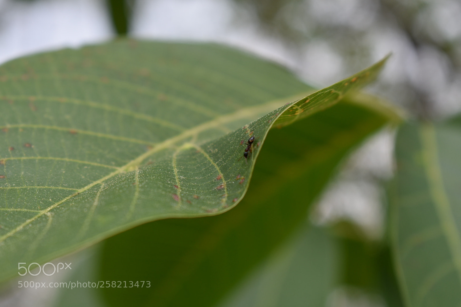 Nikon D3400 sample photo. Untitled photography