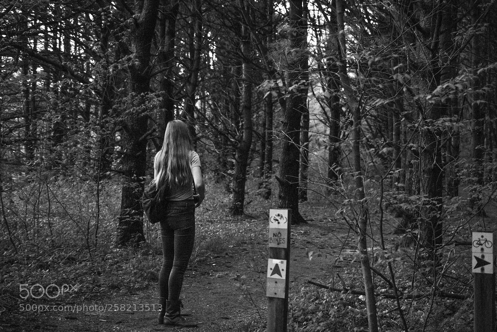 Nikon D3000 sample photo. Nature walk photography
