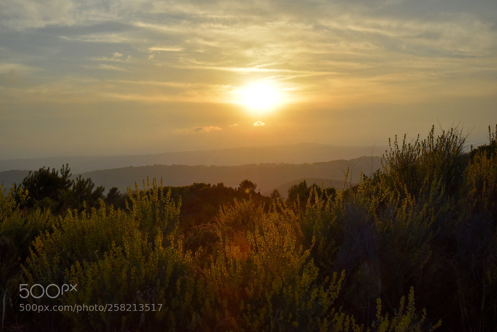 Nikon D750 sample photo. Evening photography