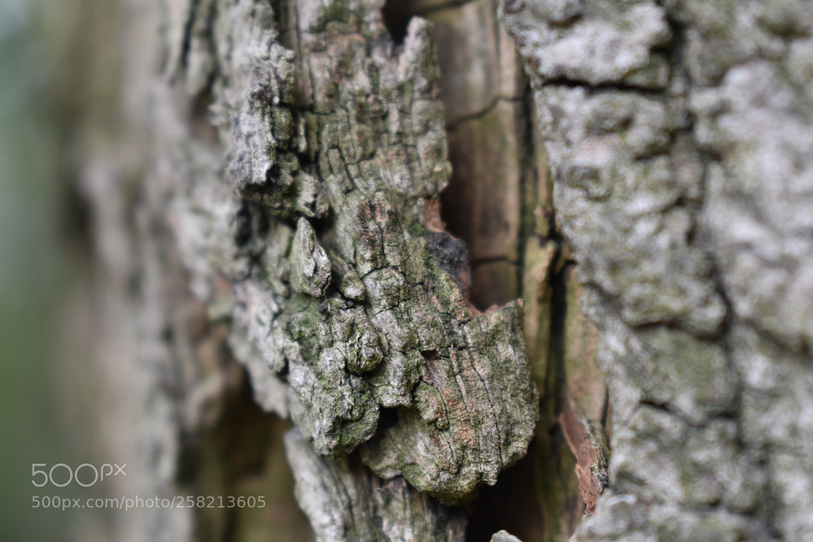 Nikon D3400 sample photo. Untitled photography