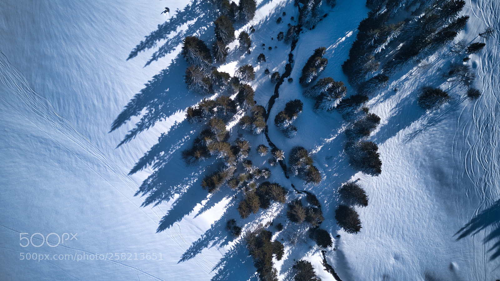 DJI FC220 sample photo. Snow|trees|sun photography