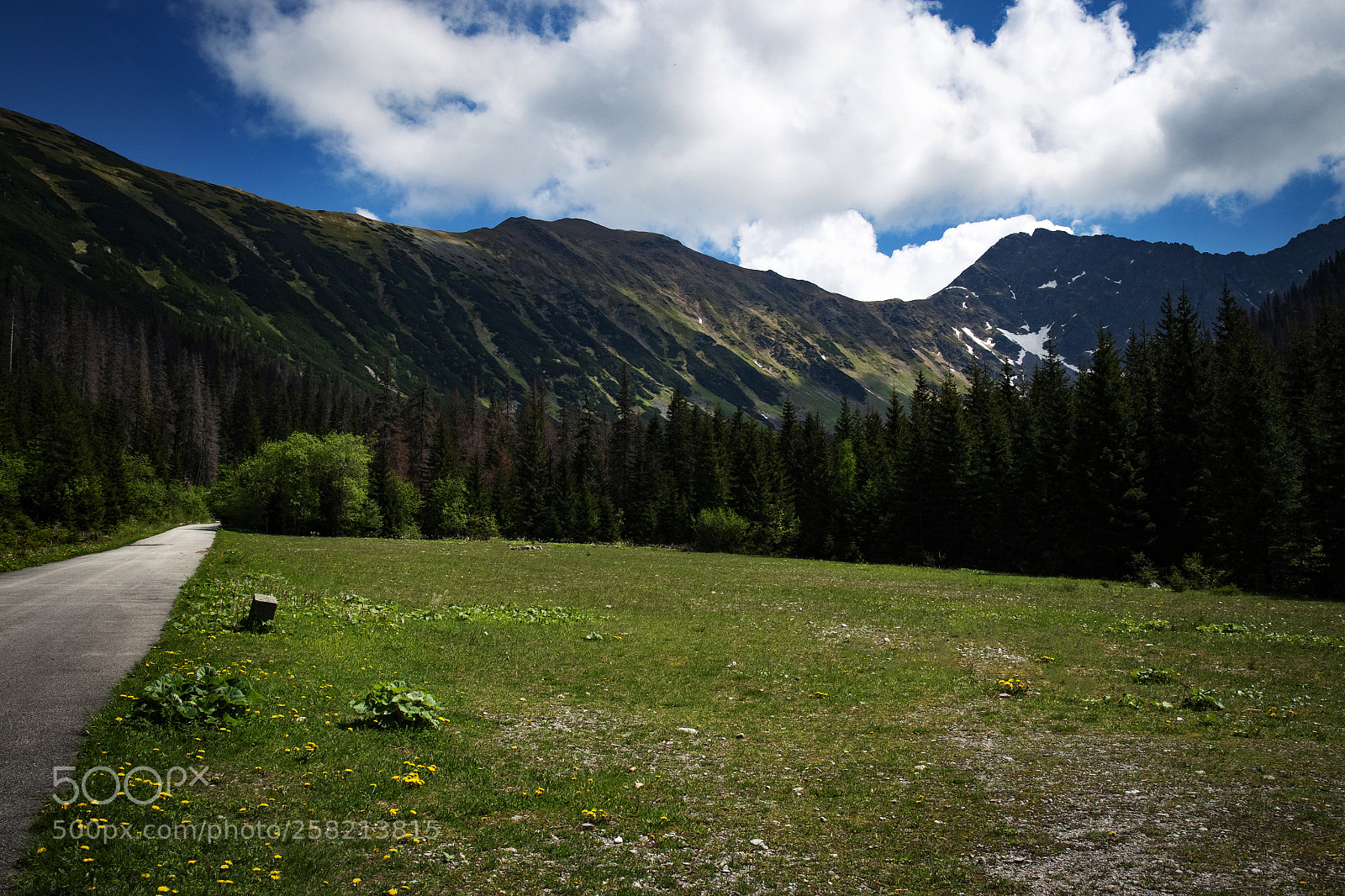 Nikon D5500 sample photo. Mountain scenery with a photography