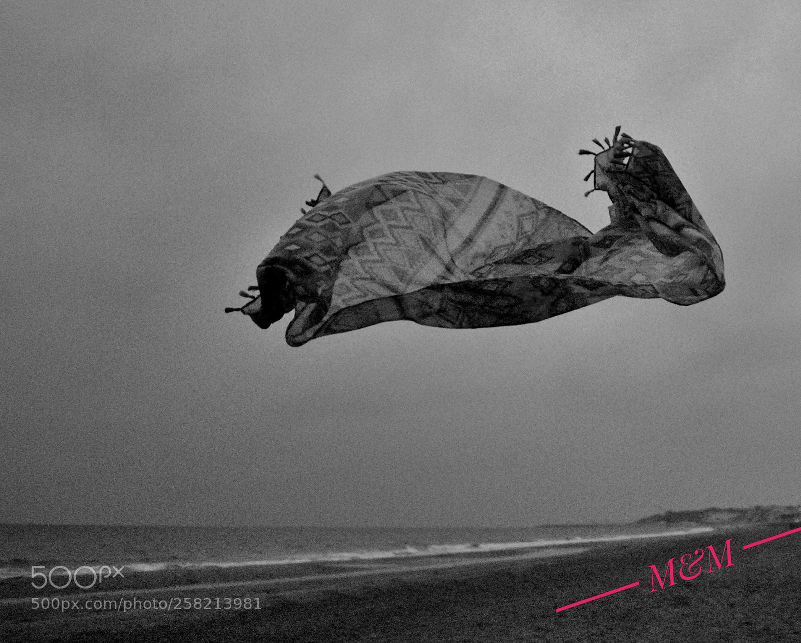 Nikon D3000 sample photo. Untitled photography