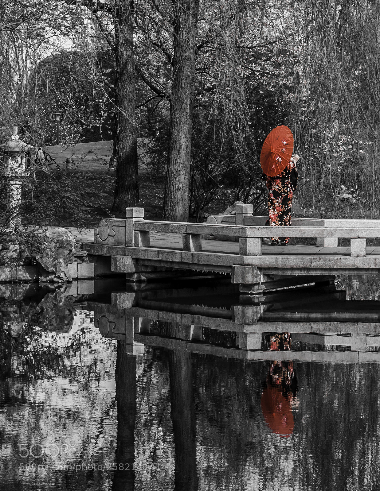 Nikon D60 sample photo. Garden of the world photography