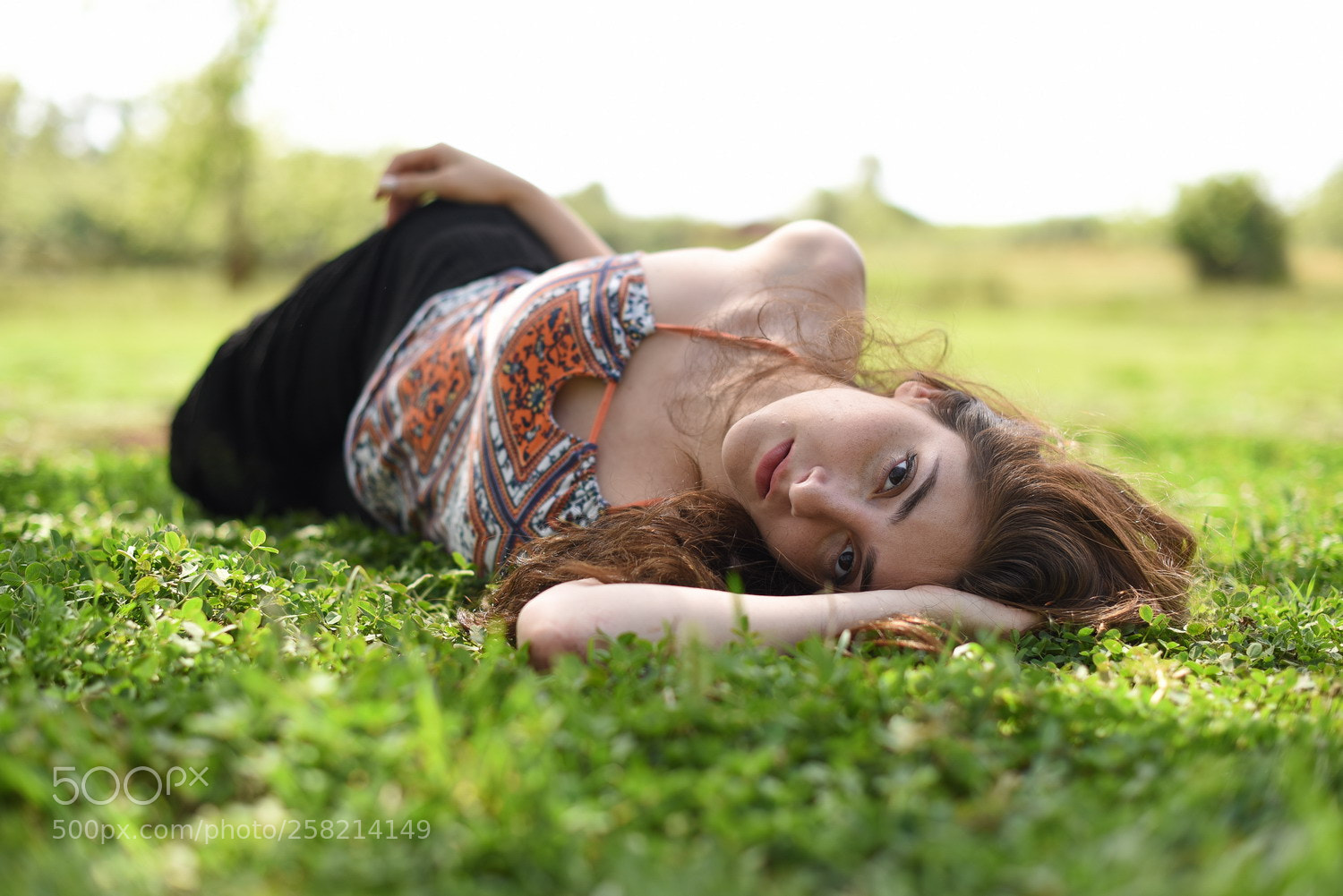 Nikon D750 sample photo. Green photography