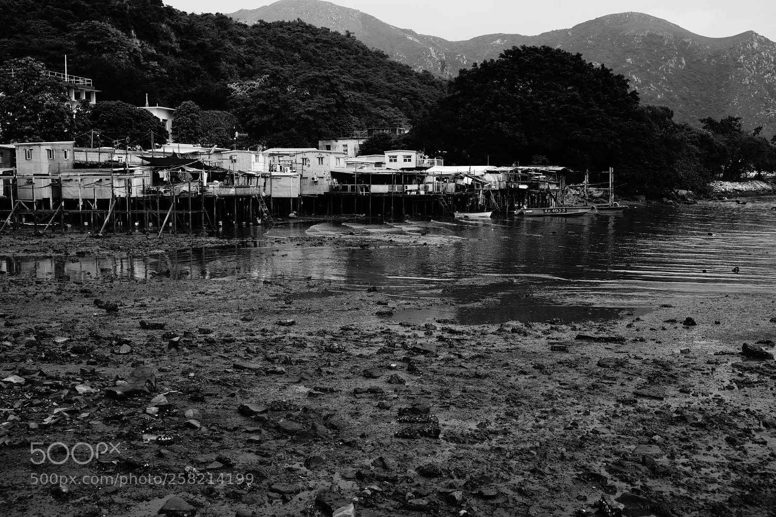 Sony SLT-A99V sample photo. Untitled photography